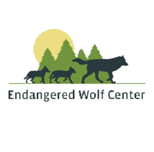 Endangered Wolf Center - Wolf Research