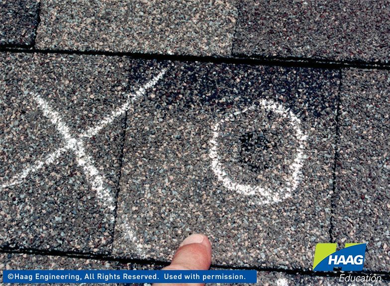 Hail damaged shingle