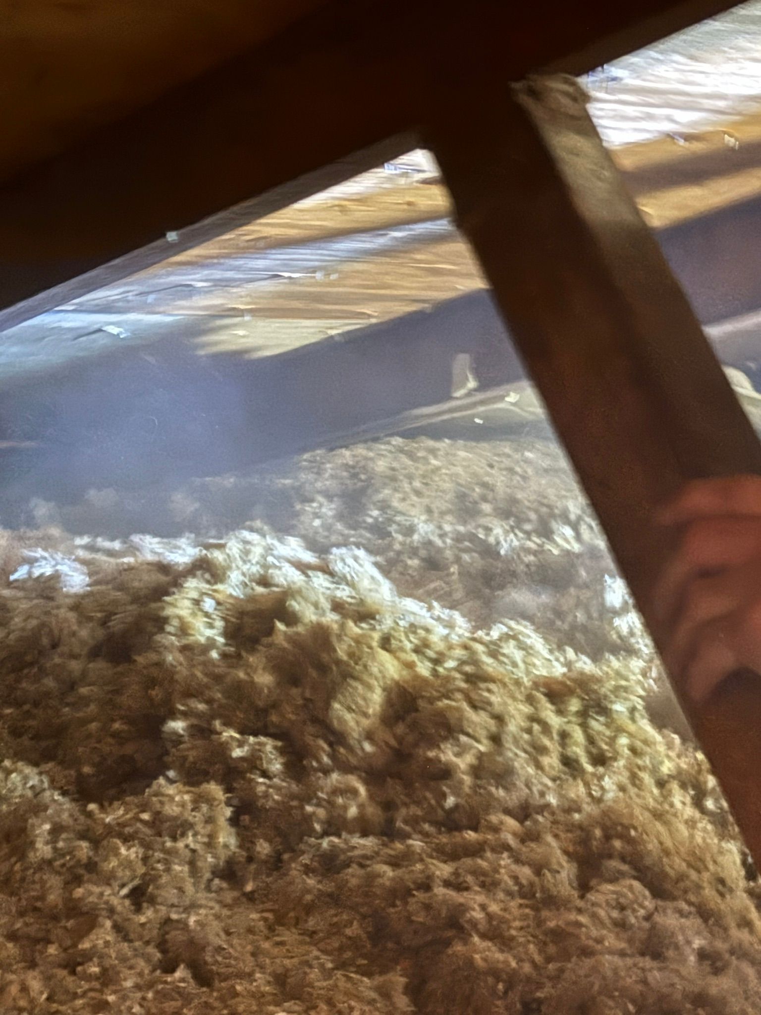 Roofing insulation in an attic in Eureka Missouri