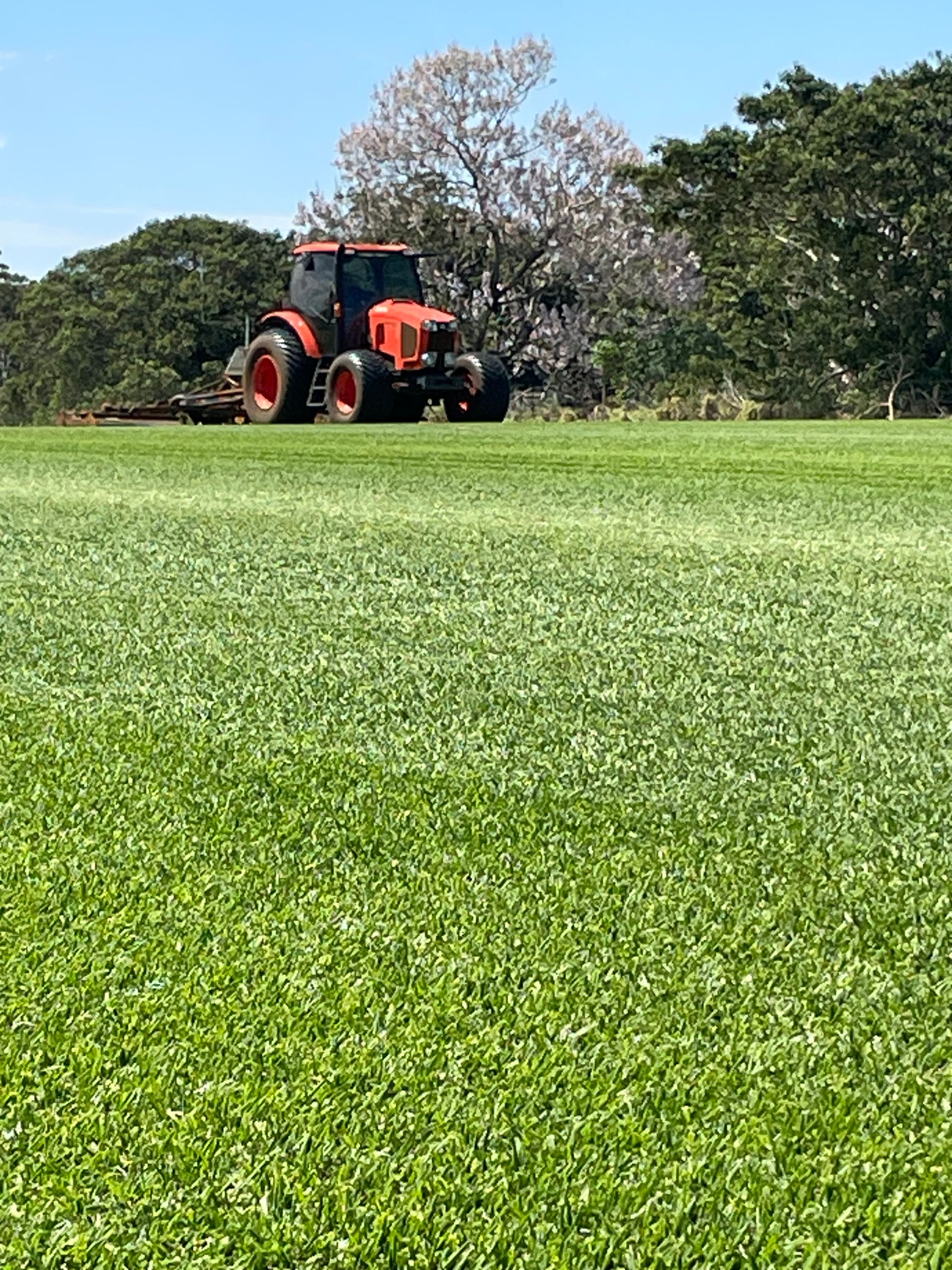 A Man on the Tractor While on Grass — Highfields Turf in Highfields, QLD