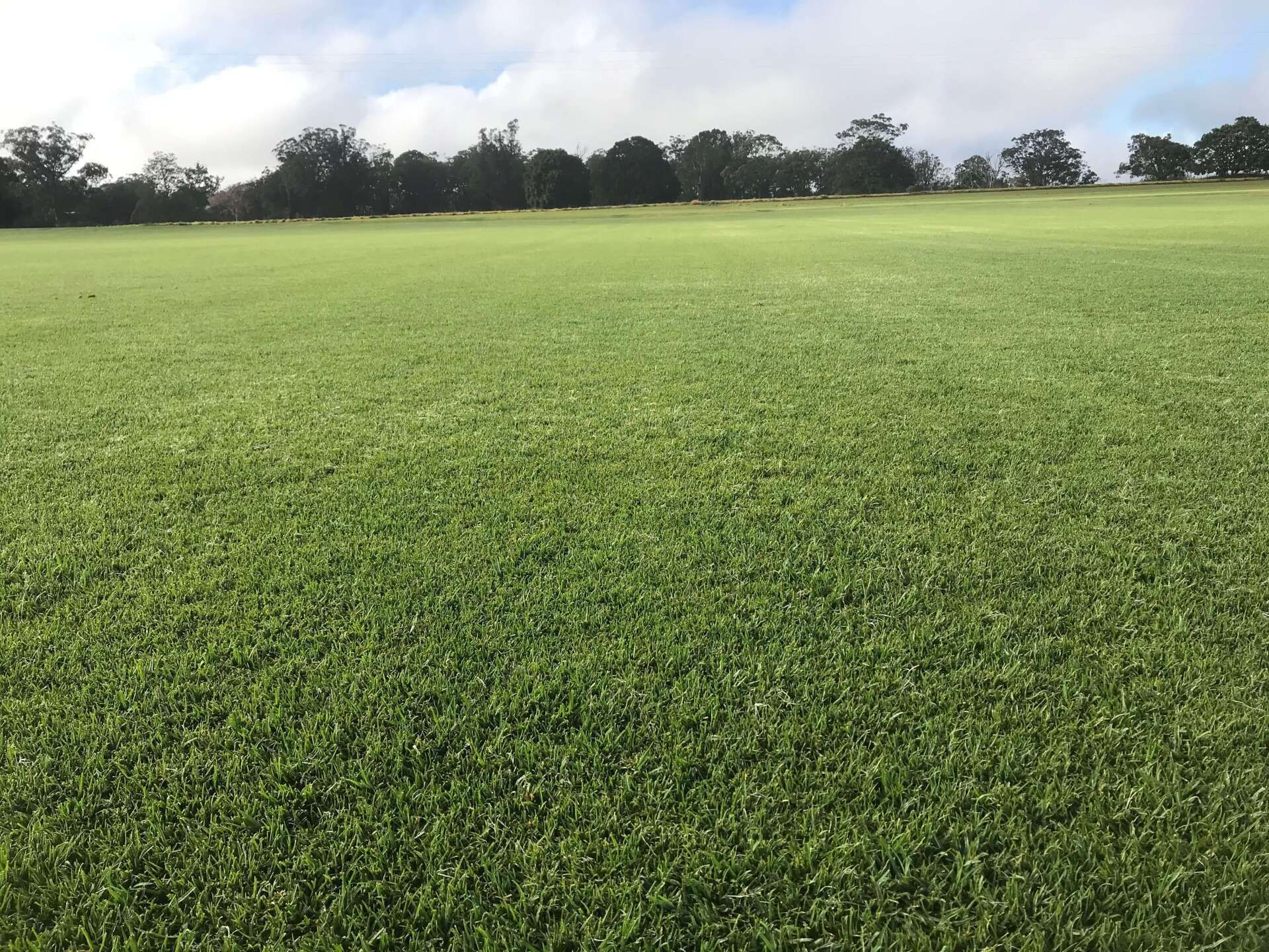 Ready Lawn for Turf Installation — Highfields Turf in Highfields, QLD