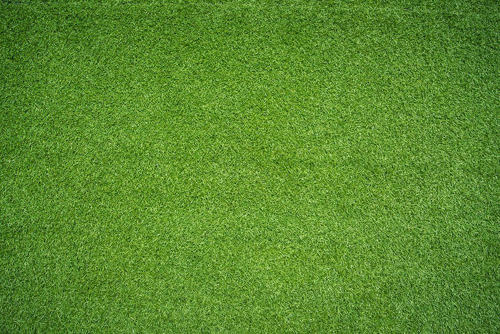 A Close Up of a Green Field of Grass — Highfields Turf in Crows Nest, QLD