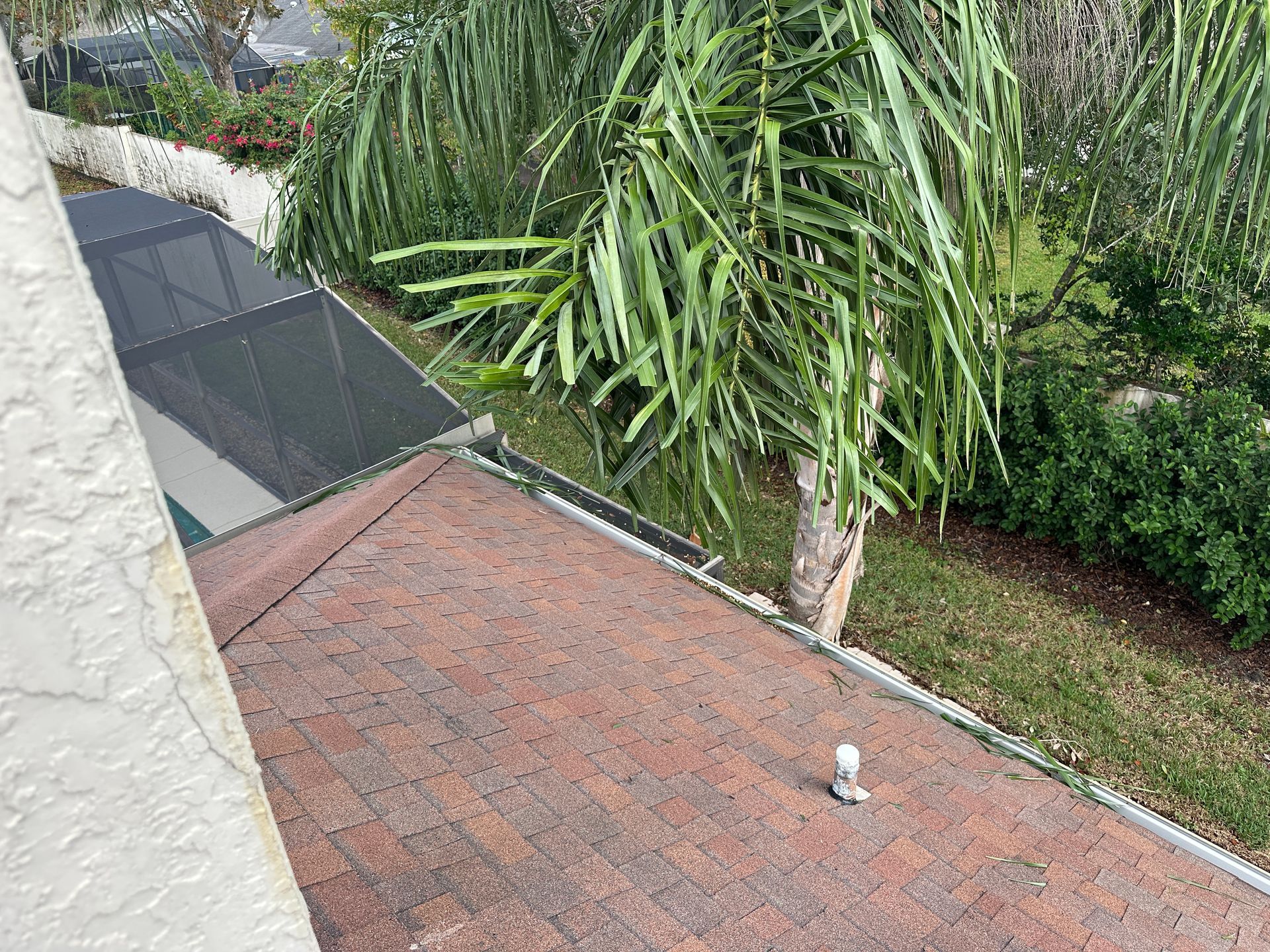 An aerial view of a roof with a palm tree in the background.