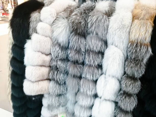 Fur Coats of Different Colors — Atlanta, GA — Atlanta Furs
