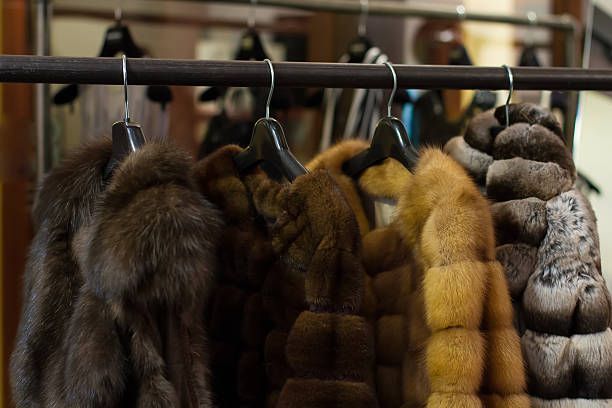 Fur Coats Hanging on Hangers — Atlanta, GA — Atlanta Furs