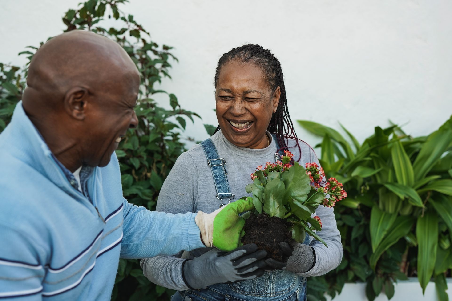 Community Garden
