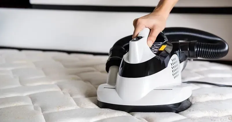 Box 2 pulizia divani