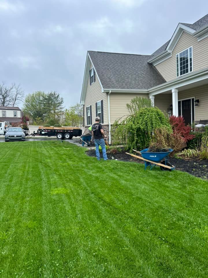 Man working on landscaping near a house. Green grass, blue wheelbarrow, and trailer visible. Overcast day.