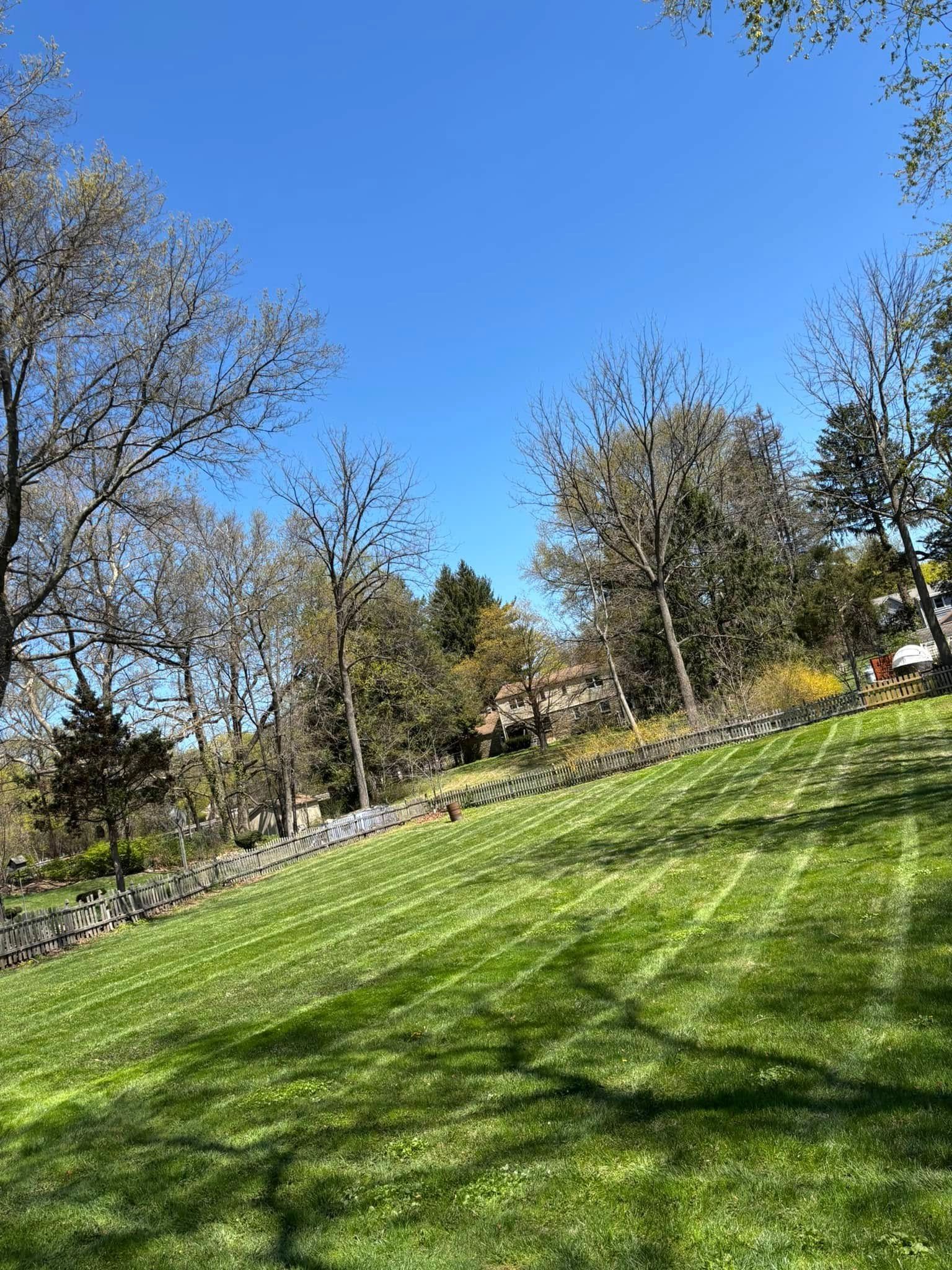 Green lawn with mowed stripes, stone wall, and trees under a clear blue sky.