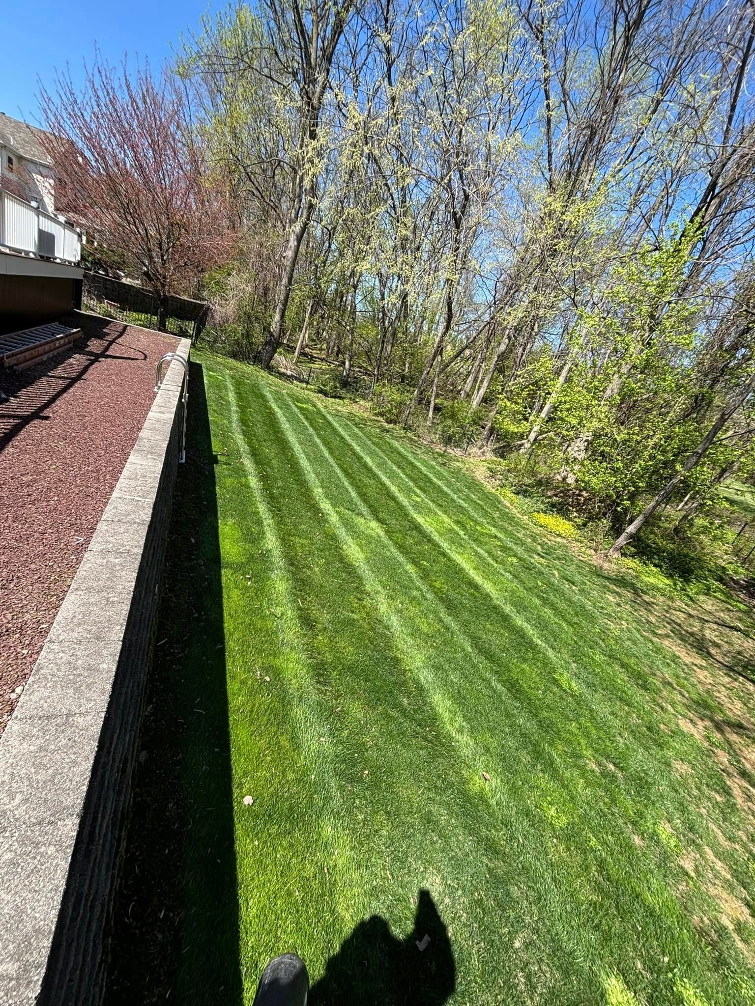 Lawn with distinct mowing stripes on a hillside, bordering a retaining wall and trees under a clear sky.