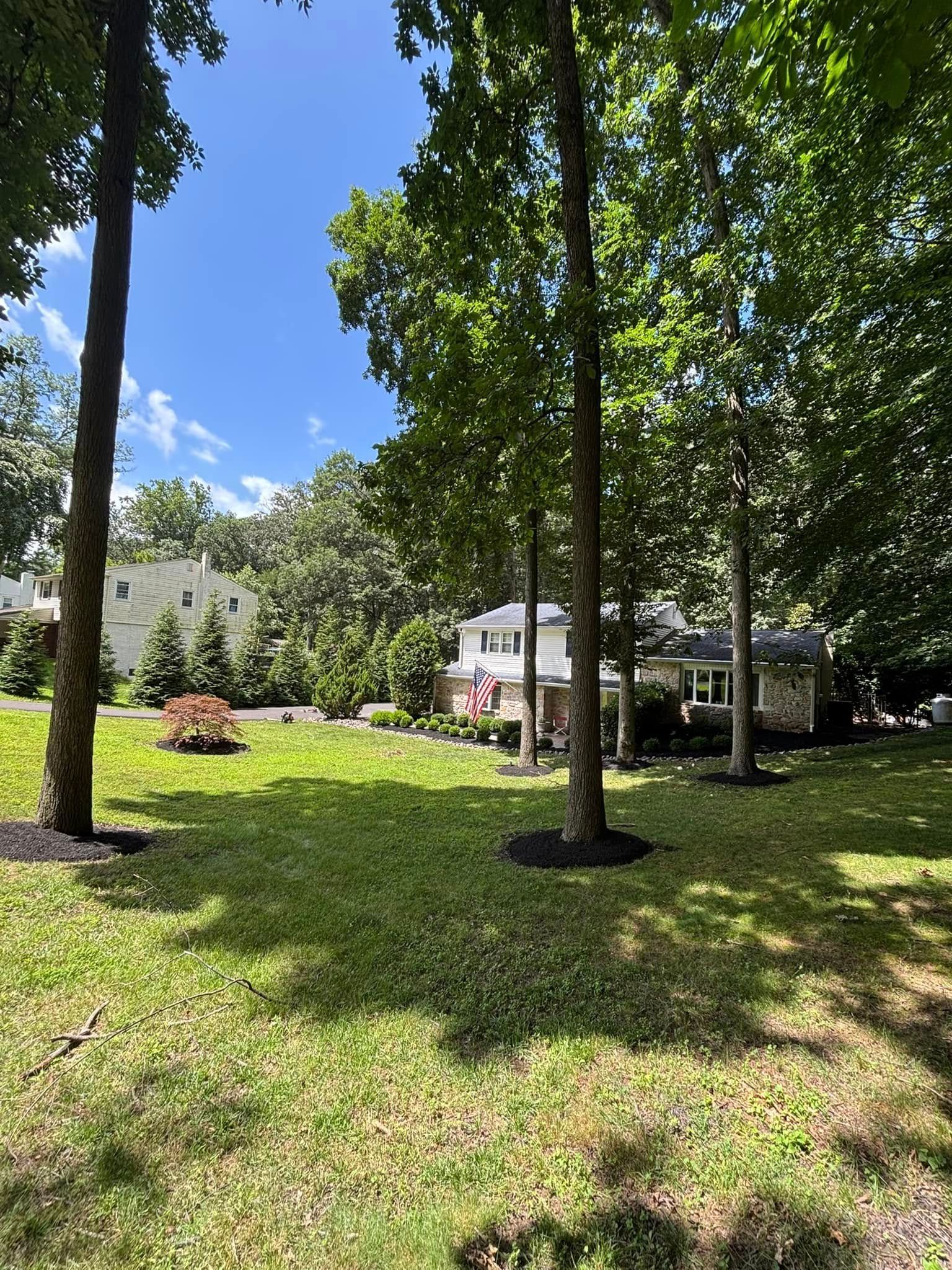 Lawn with trees surrounding a house on a sunny day.