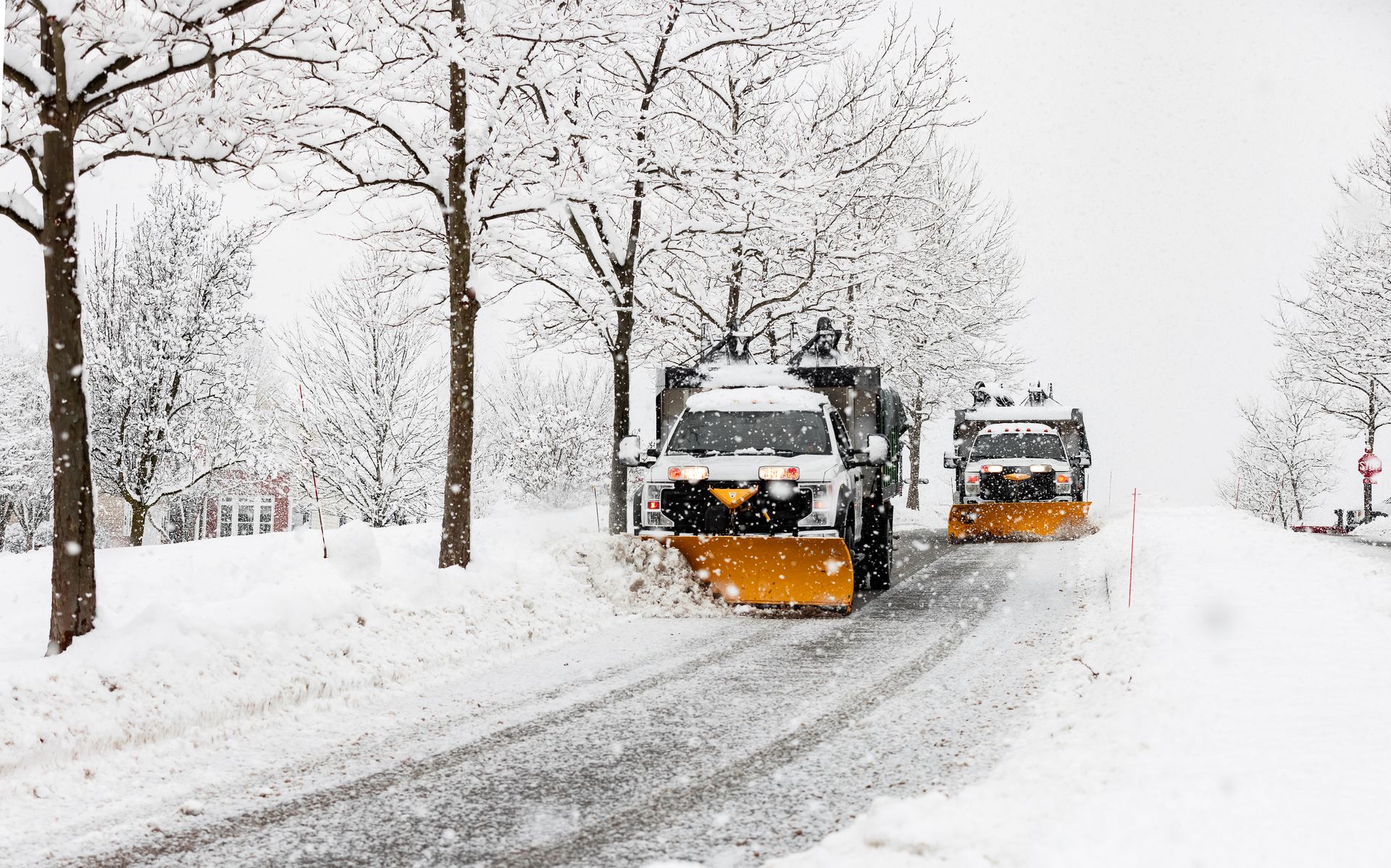 Two snowplows clearing a snow-covered road lined with snow-dusted trees.