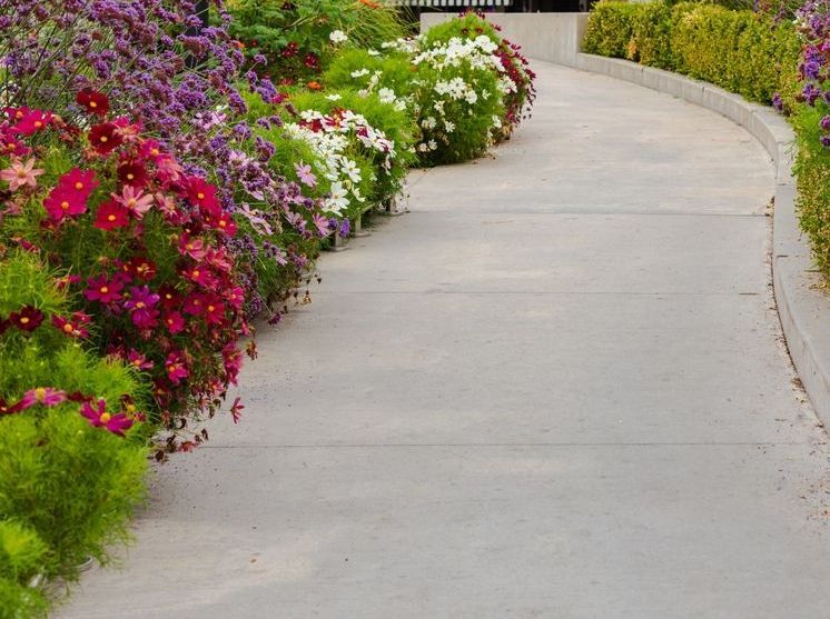 A concrete walkway with a curb and bushes on the side.