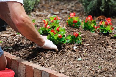 Commercial Landscape Maintenance Williamsville, NY