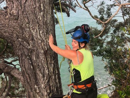 Erin Mitchell from Dizzy Heights with a cliffside tree removal