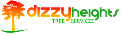 a logo for a company called dizzy heights tree services