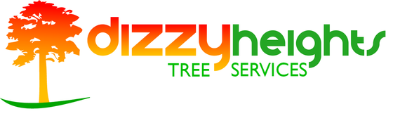 a logo for a company called dizzy heights tree services