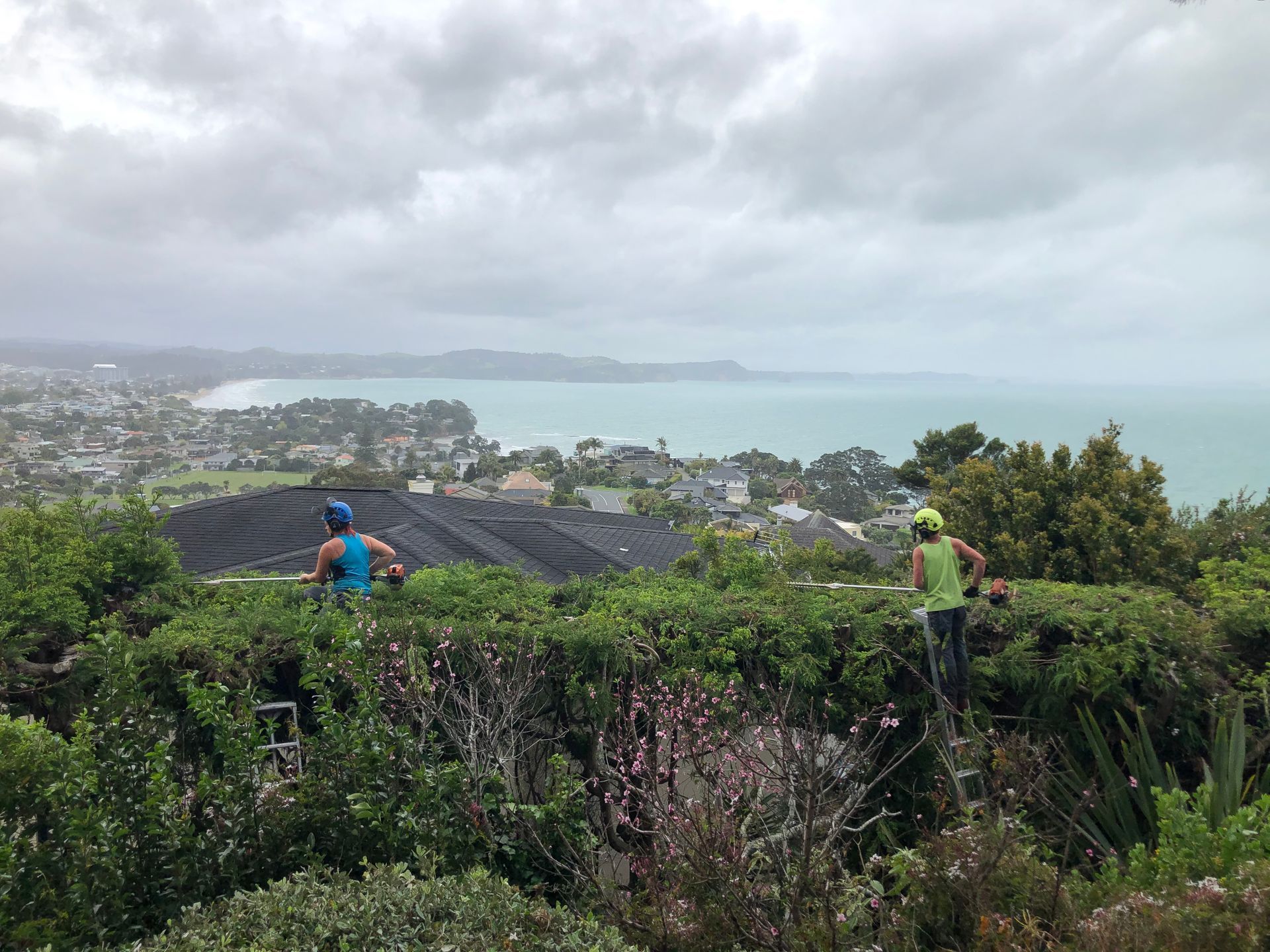 Creating a view with Dizzy heights