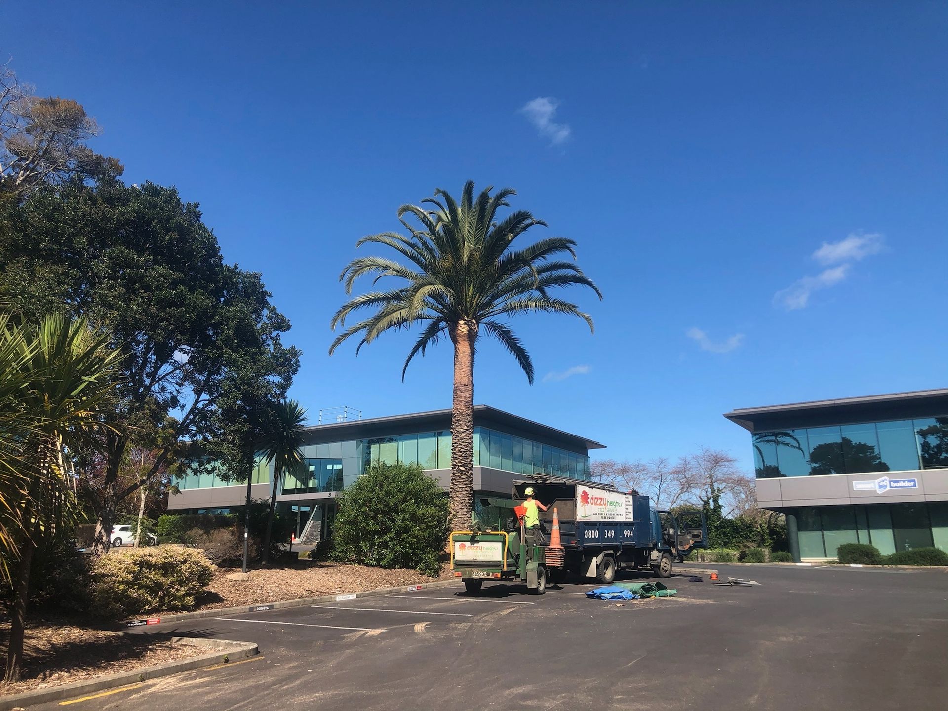 a palm tree is being removed from a parking lot in front of a building .