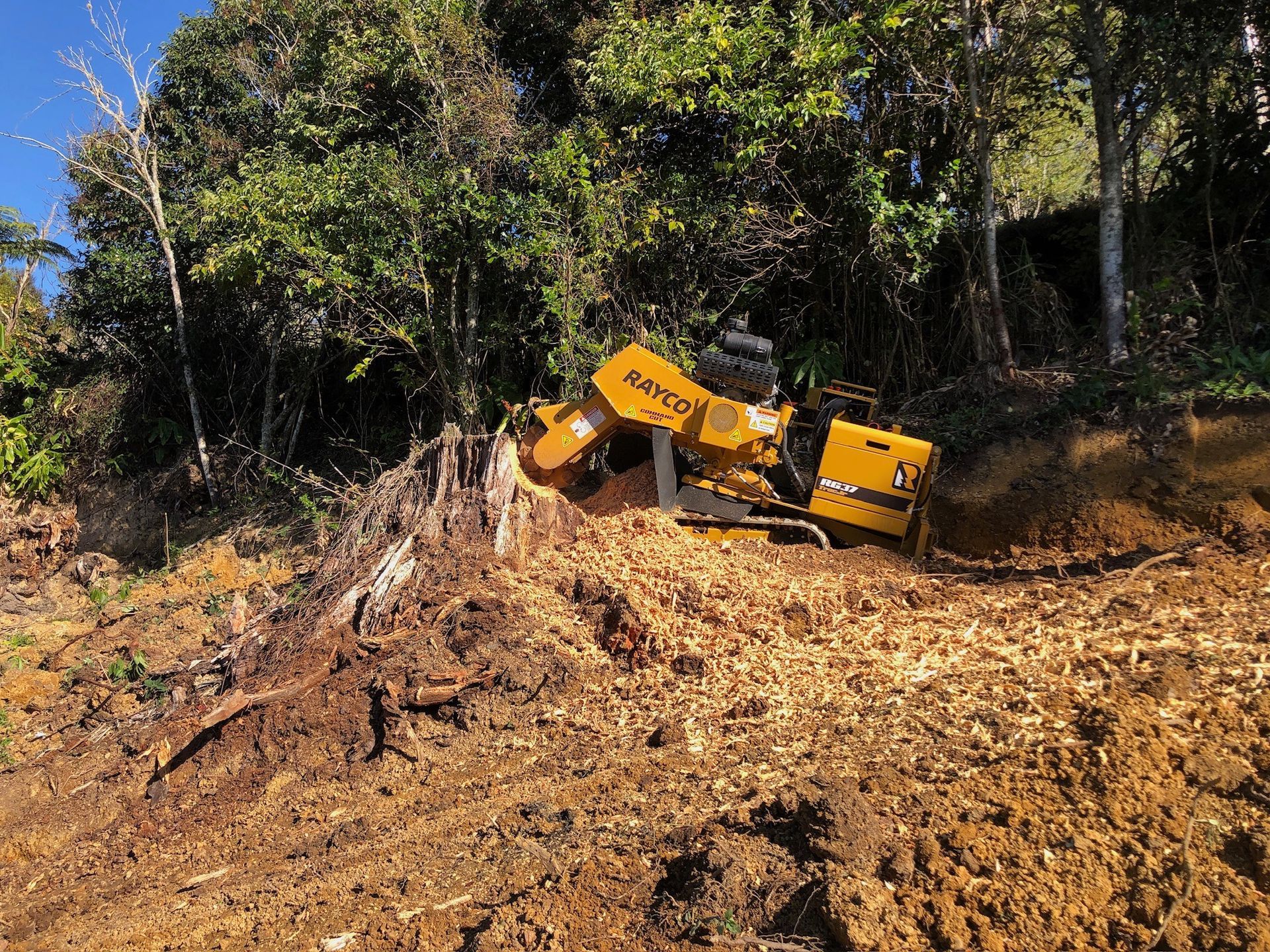 Stump Grinding
