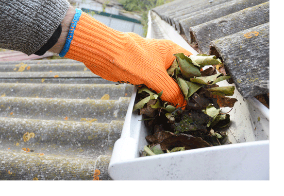 Siding Repair — Rain Gutter Cleaning from Leaves in Autumn in Cassopolis, MI