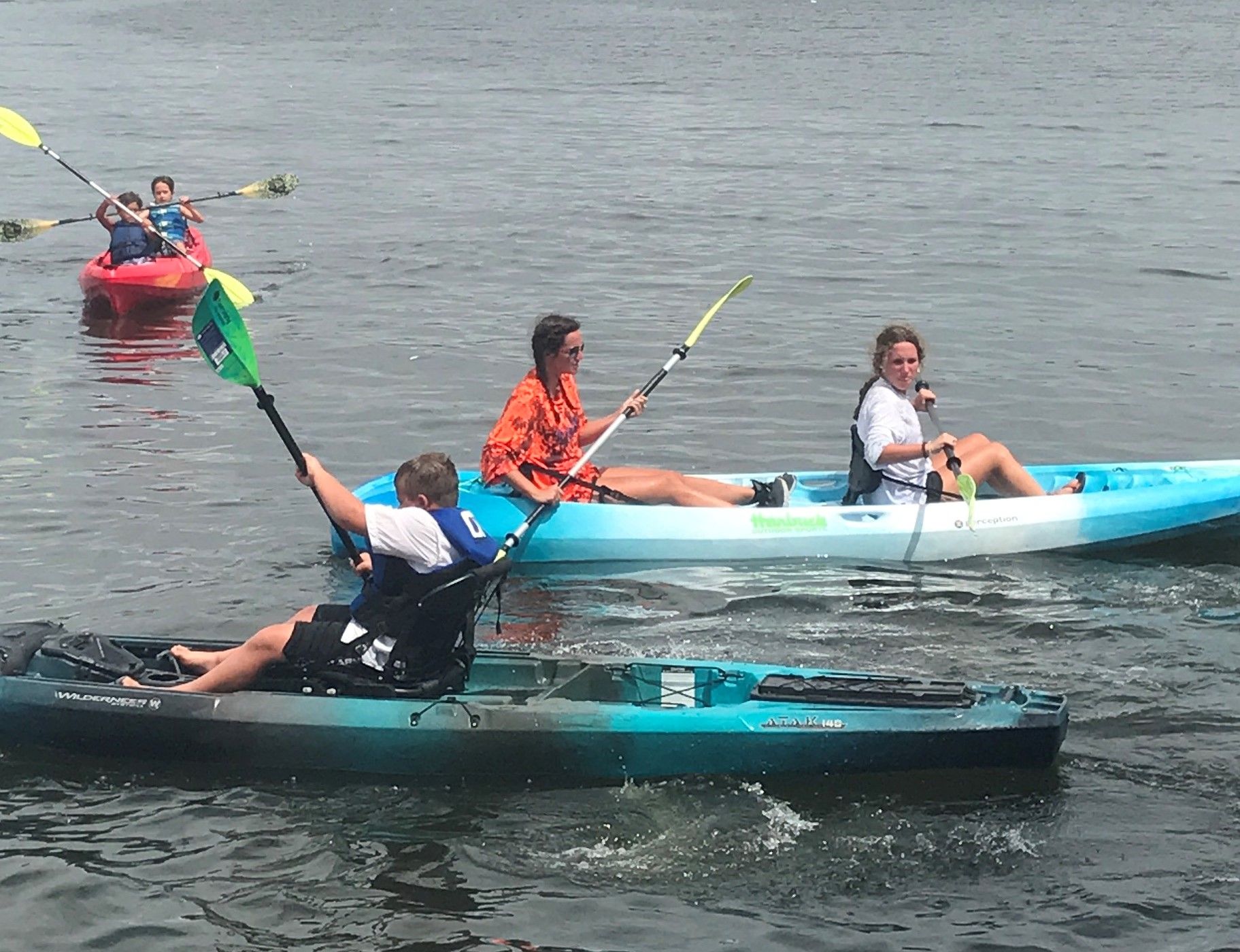 a group of people are rowing kayaks on a lake .