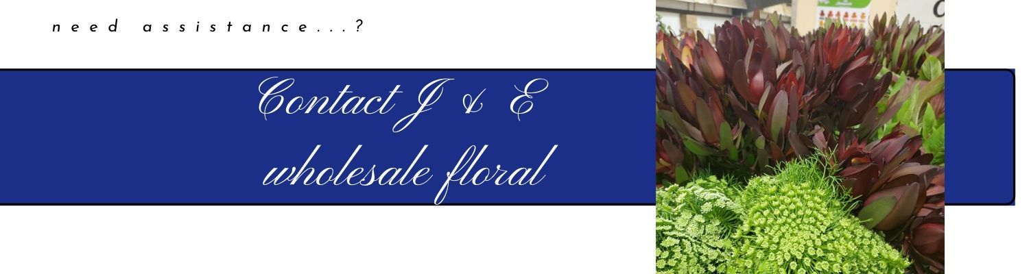 contact j & e wholesale floral