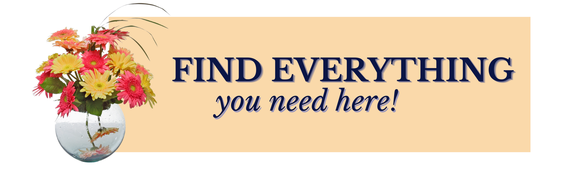 find everything you need here