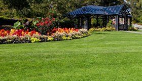 professional lawn care