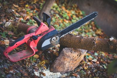 Chainsaw In The Garden On The Block — Mediapolis, IA — Jody's Tree Service