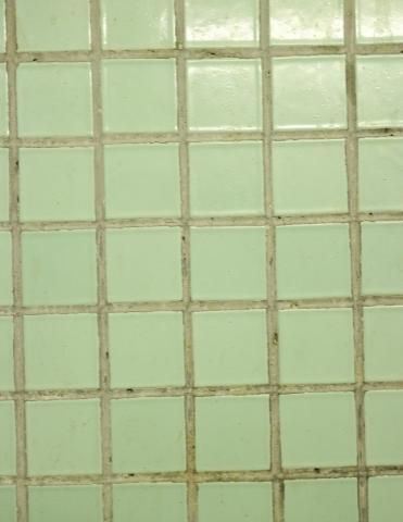 mold-on-bathroom-tile-grout