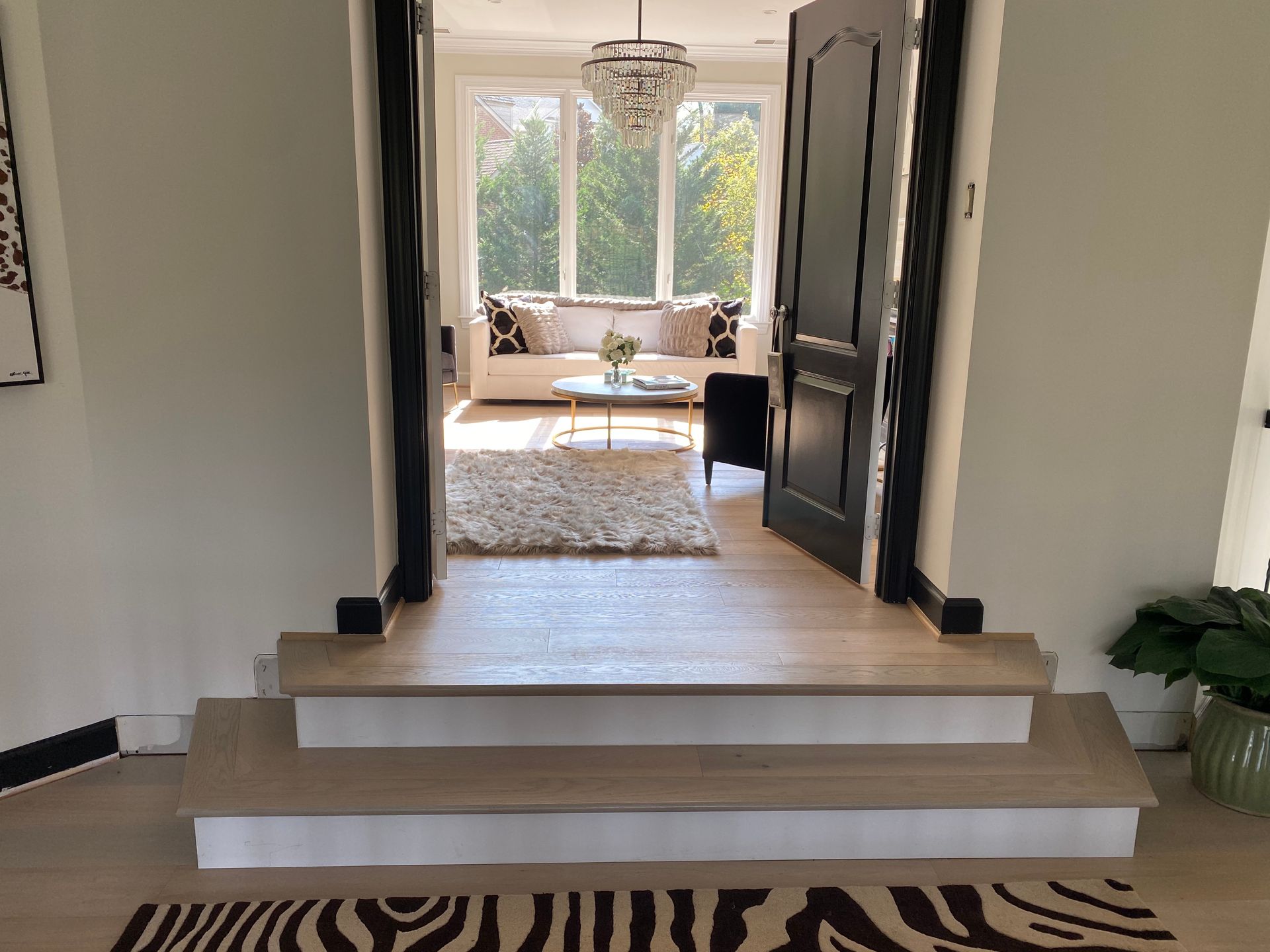 A living room with a zebra print rug on the floor