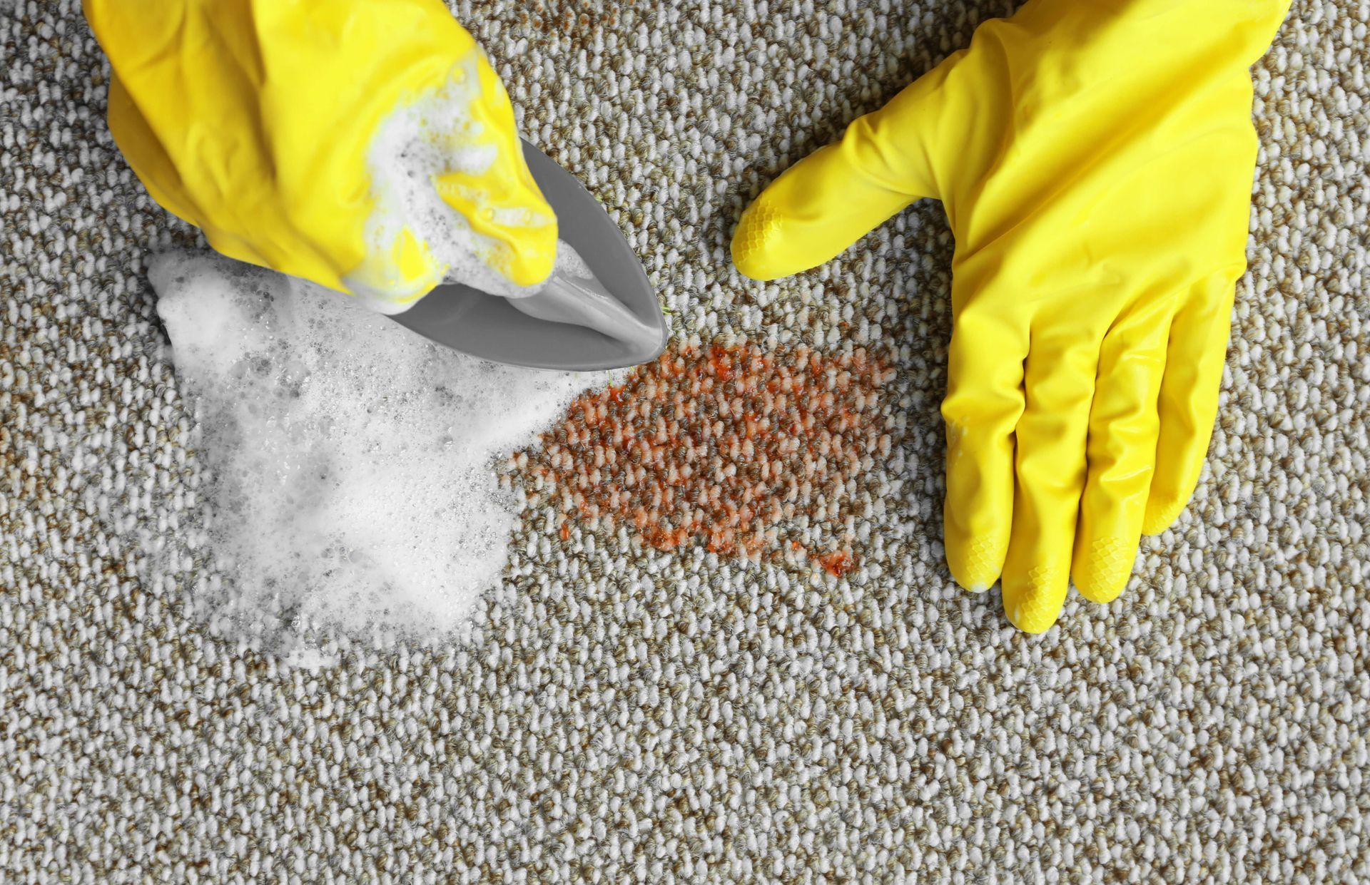 Remove Coffee Stains from Carpet with These Proven Methods