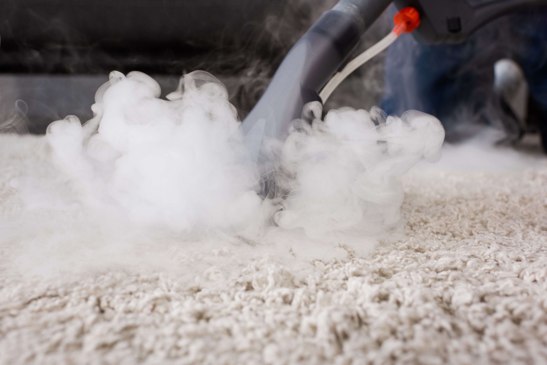 steam carpet cleaning for bedroom