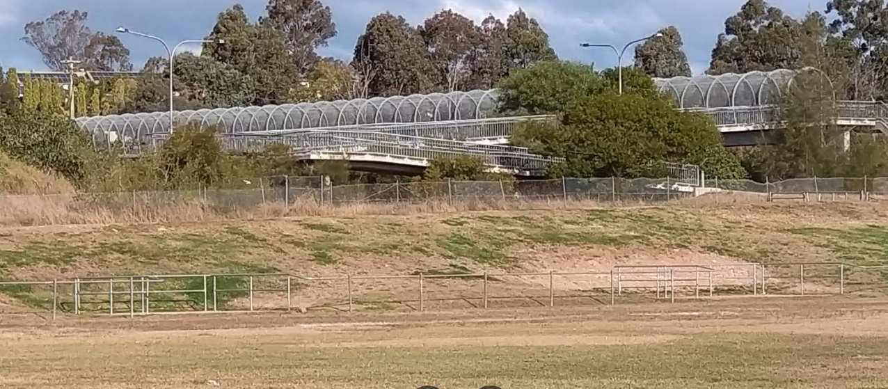 Kiteroa Golden Retrievers