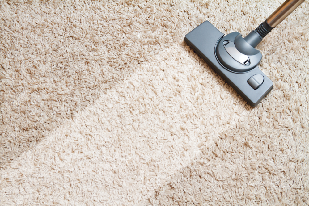 Prolong Your Carpet’s Life: 12 Easy Tips to Keep It Fresh