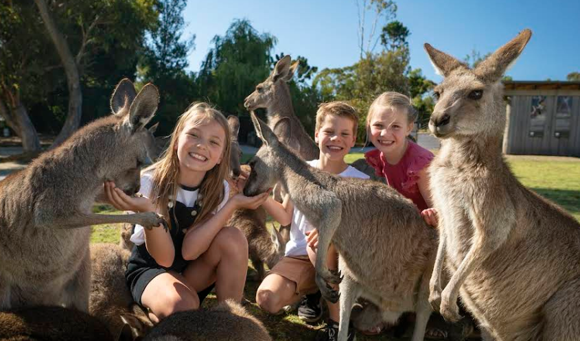 Symbio Wildlife Park