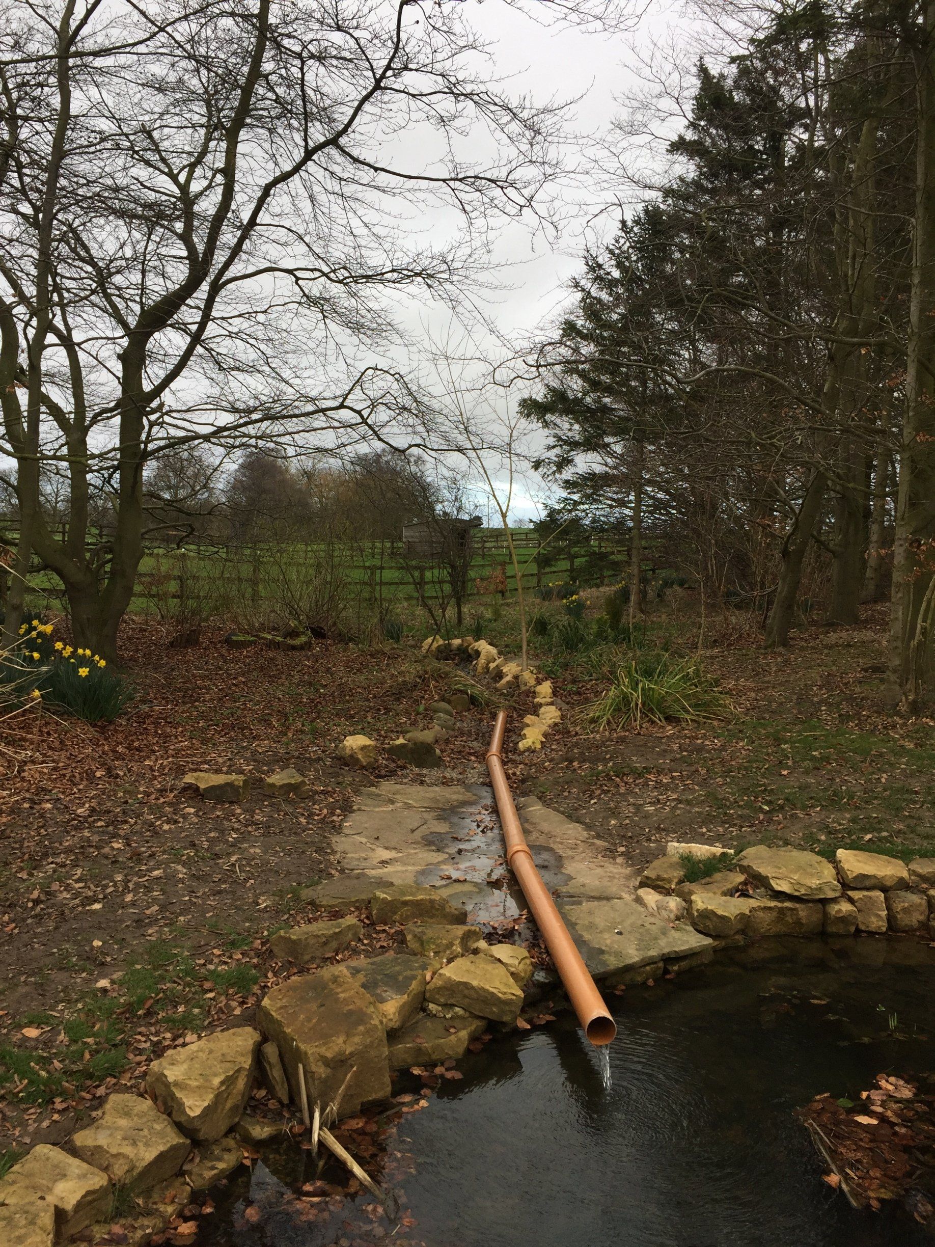 Natural spring - before