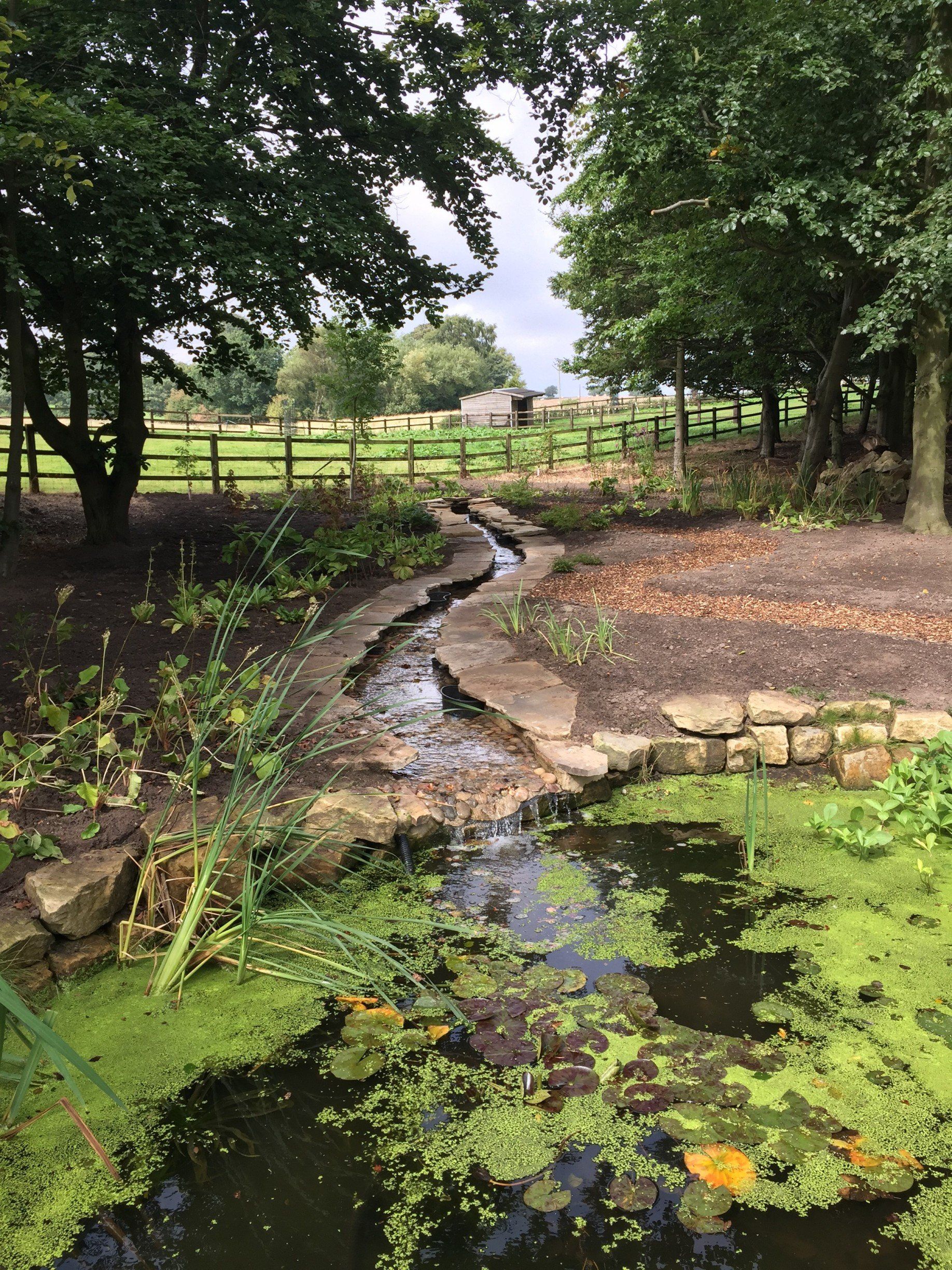 Natural spring - after