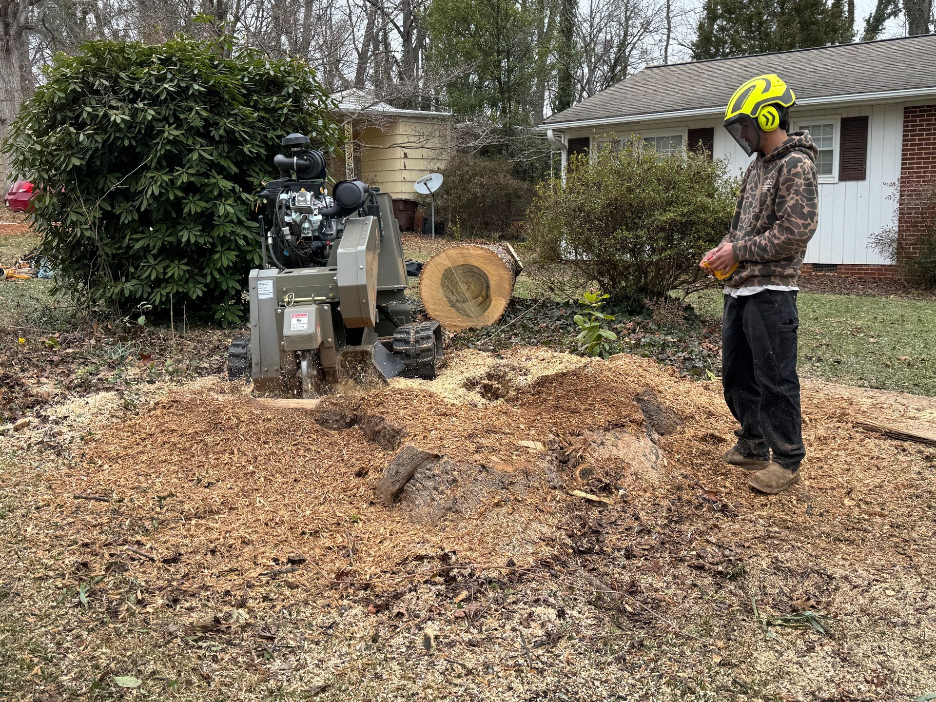 Worker using a wood chipper in a yard, with a large pile of wood chips and a house in the background