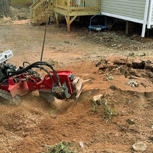 Red stump grinder grinding a tree stump in a yard next to a house.