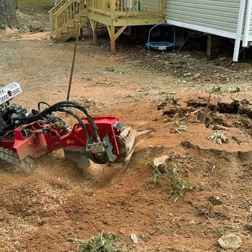 Red stump grinder grinding a tree stump in a yard next to a house.