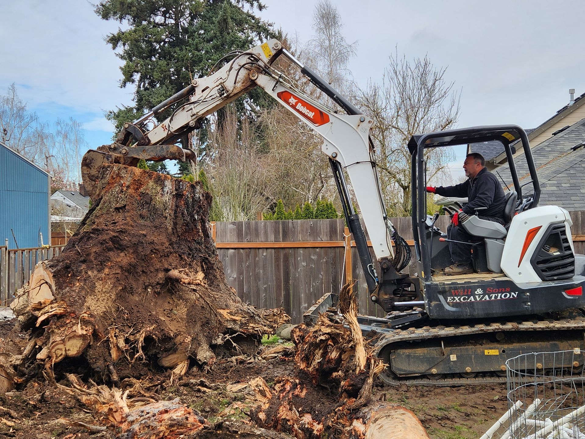 A man in a Bobcat excavator removing a large tree stump in a yard.