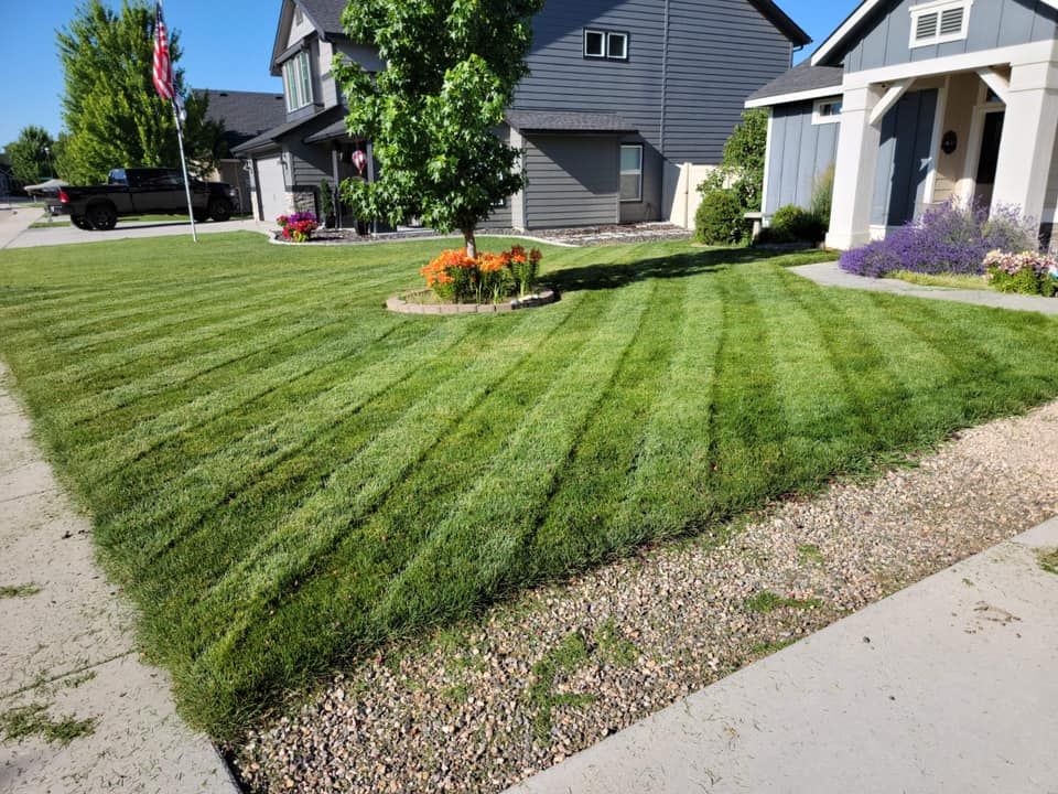 A neatly mown lawn with striped patterns, featuring a central tree with orange flowers and two suburban homes in the back.