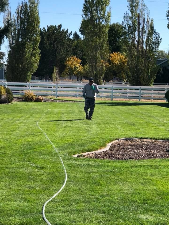 A person walks across a bright green lawn, holding a hose with a white fence and tall trees in the background.