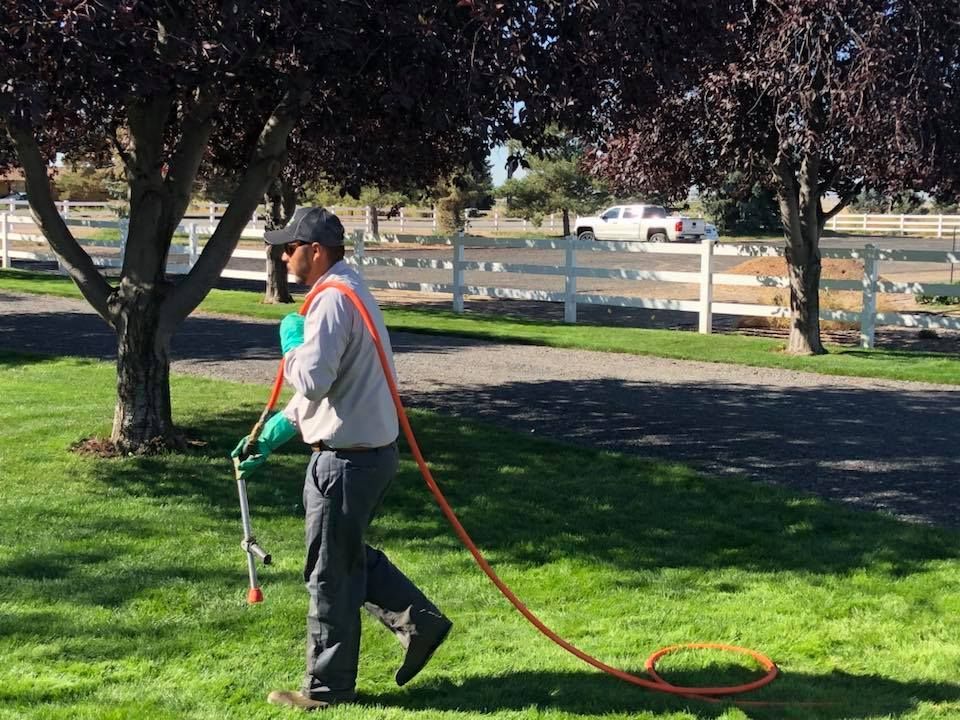 A worker in a cap and gloves sprays a lawn with a handheld nozzle attached to a long, orange hose in a sunny park.