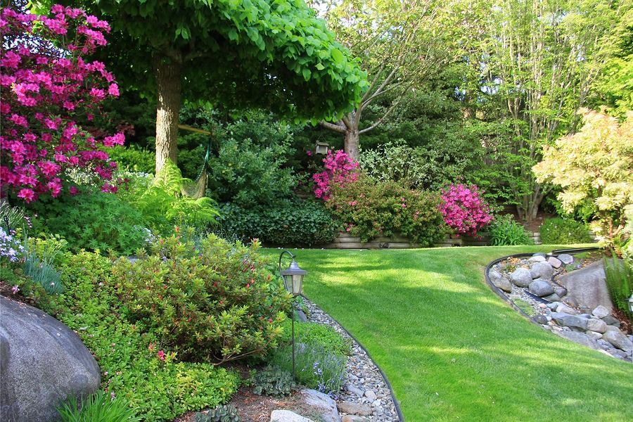 A lush backyard garden featuring a green lawn, colorful pink azaleas, large landscape boulders, and mature trees.
