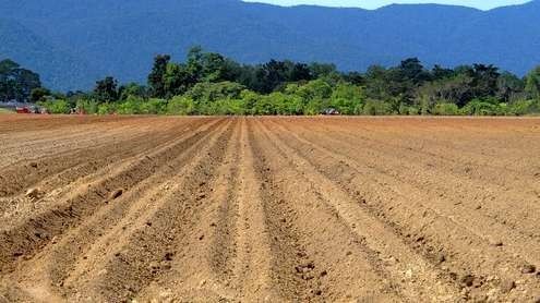 A freshly tilled brown field with parallel furrows leads toward a treeline and blue mountains in the distance.