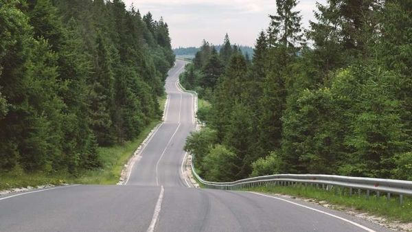 A winding asphalt road stretches through a dense forest of evergreen trees under an overcast sky.