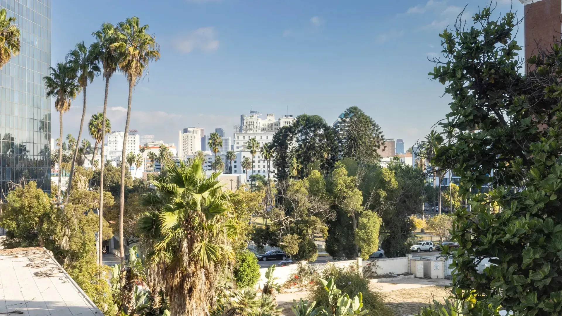 View of cityscape with palm trees and buildings.